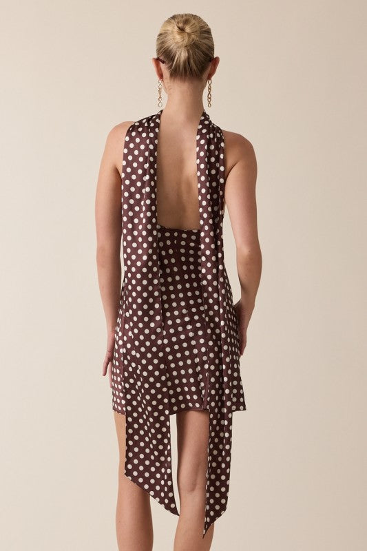Brown Polka Dot Dress